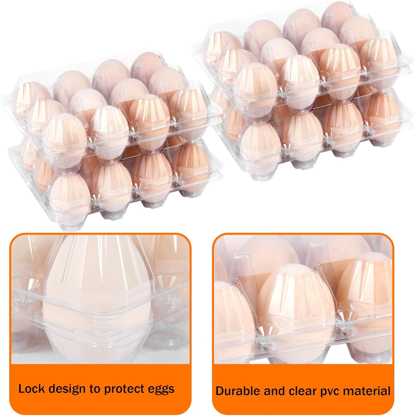 12 Count Plastic Egg Cartons  Bulk Cheap Clear Reusable Egg Containers for Chicken Eggs Dozen Egg