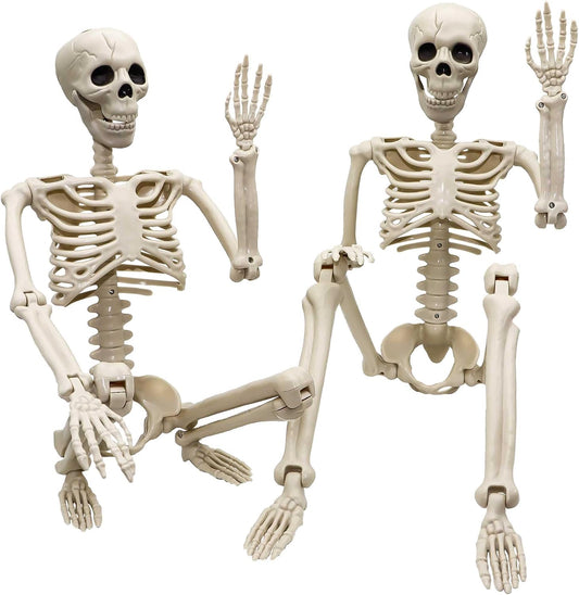 3 ft Life Size Human Skeleton with Full Body Posable Joints Plastic Skeleton for Halloween Skeletons