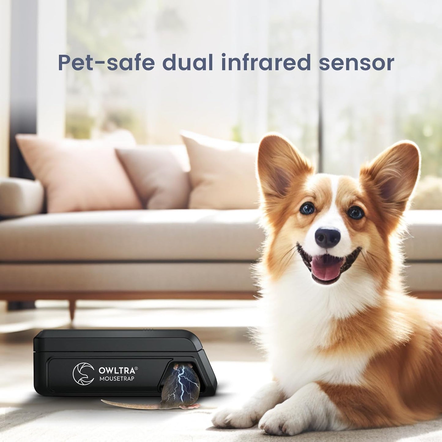 Electric Mouse Trap 2 PCS Instant Kill Rodent Zapper with Pet Safe Trigger