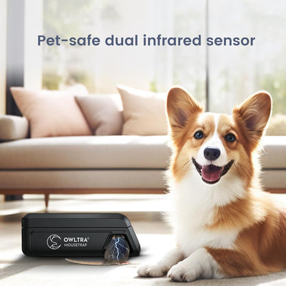 Electric Mouse Trap 2 PCS Instant Kill Rodent Zapper with Pet Safe Trigger