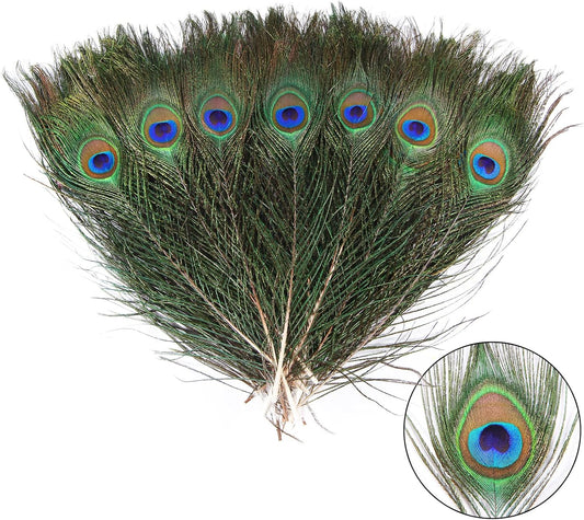 12pcs Peacock Feather Natural in Bulk 10-12 inch 25-30cm Small EyeFor Craft Vase Wedding Home